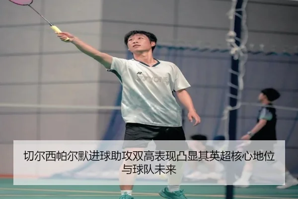 切尔西帕尔默进球助攻双高表现凸显其英超核心地位与球队未来